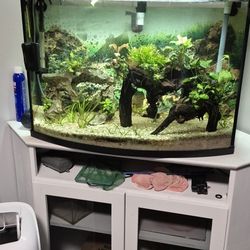 36gal (Complete set up)