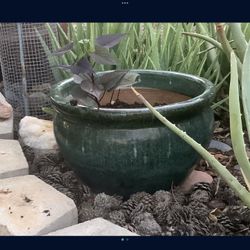 Beautiful Big Big Flower Pot