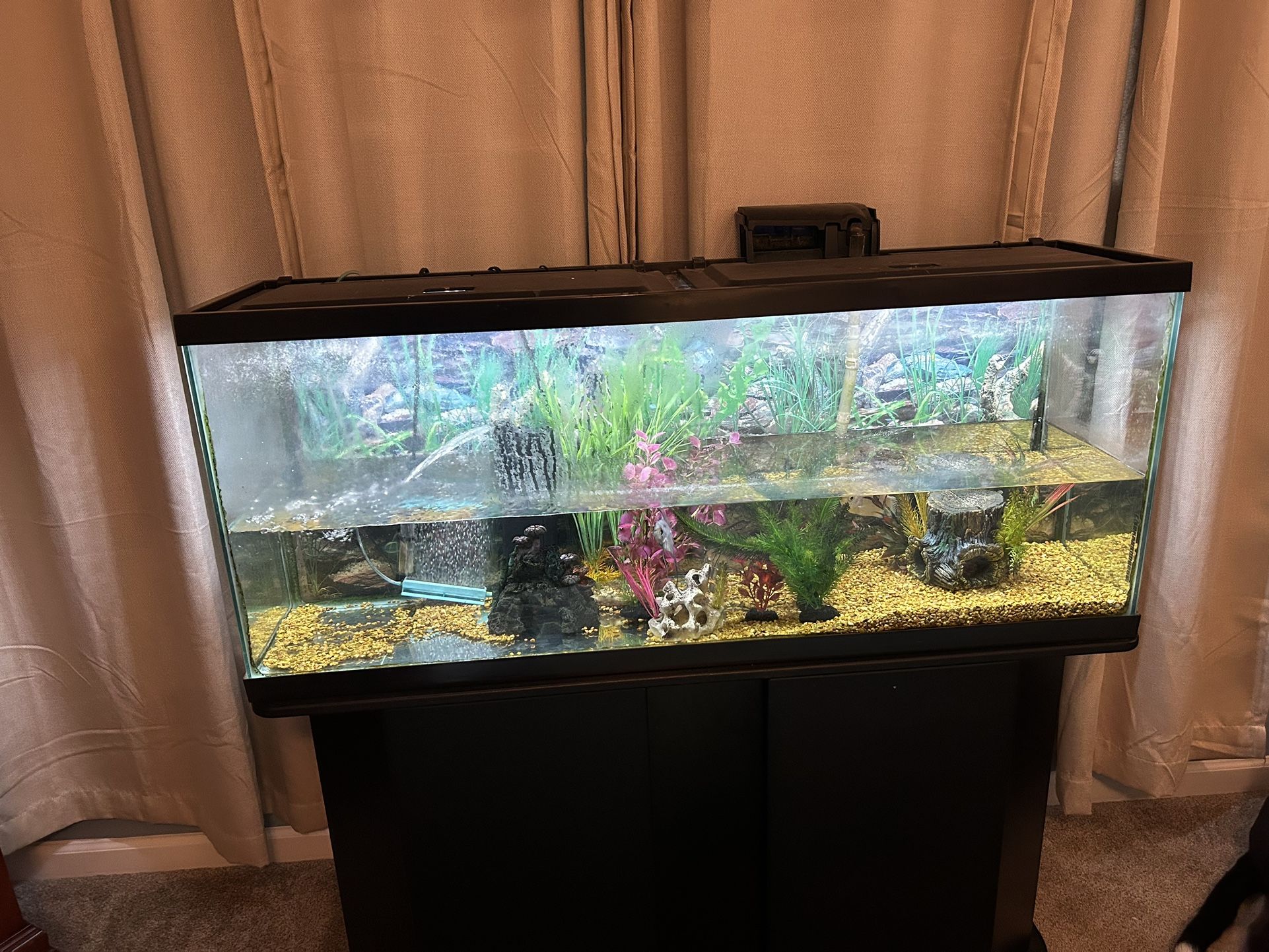 55 Gallon Fish Tank And Stand