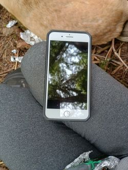 iPhone 8 (Locked) Brand New 