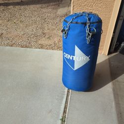 Boxing Bag