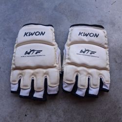 Taekwondo Gloves 
