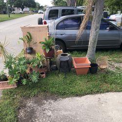 Plants And Pots Got To Go 50$