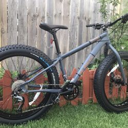 Fat Tire Bike 