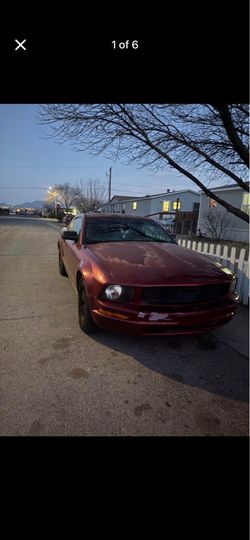 2007 for mustang