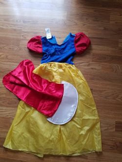Disney princess costume