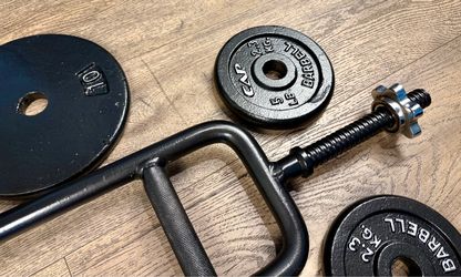 Standard Triceps Bar with Weight Cast Iron Weight Plates: 25s, 10s and 5s. Total: 96 lbs