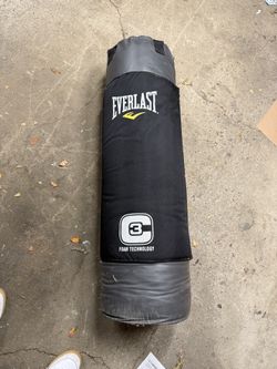 Everlast C3 70 lb Punching Bag