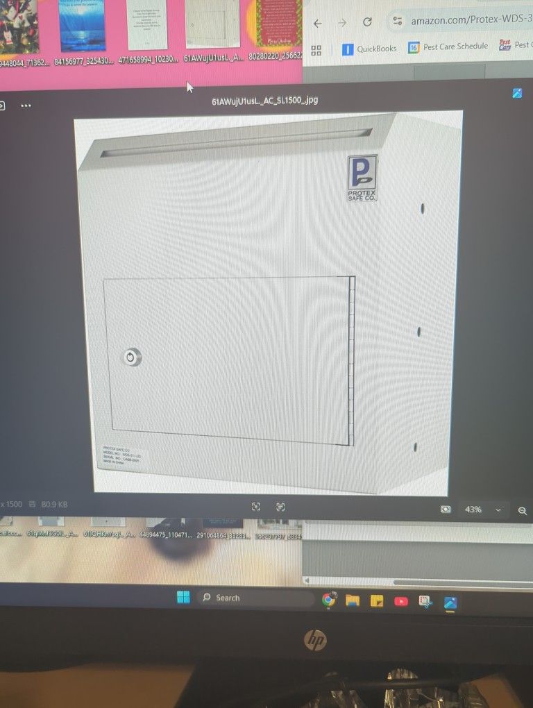 Protex WDS-311-DD Through The wall Dropbox for cash checks and envelopes. New