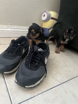 Nike shoes