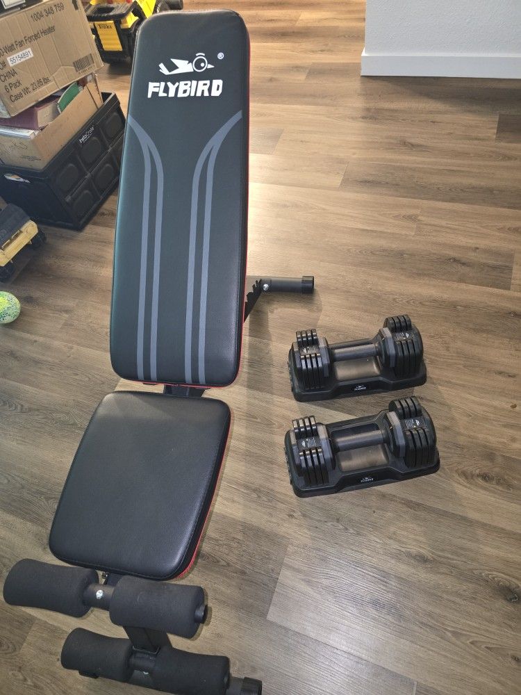 Flybird Bench And Adjustable Weights