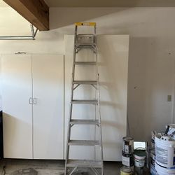 8 Foot Ladder 