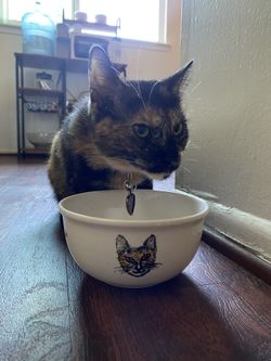 Personalized Cat Feeding Bowls!