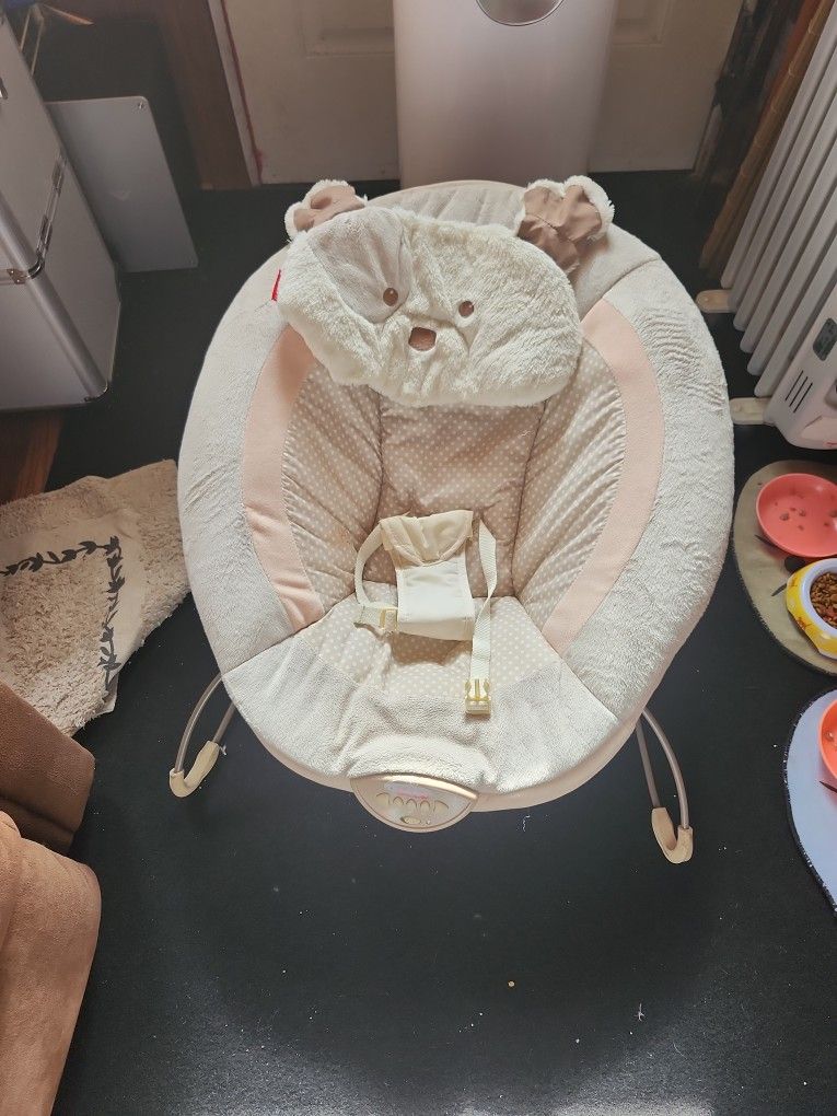 Baby Bouncer