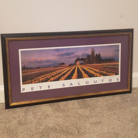 Pete Saloutos Professionally Framed Photograph Field of Tulips Signed 