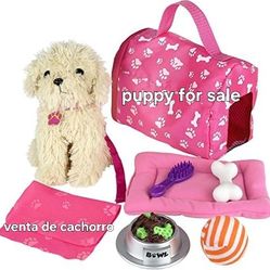 2 Months Puppy Pad Toy 