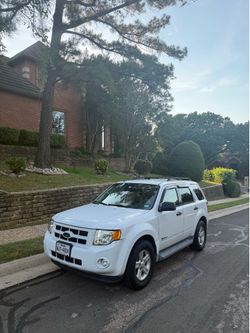 2010 ford escape