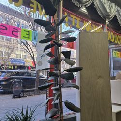 Assorted House Plants $20 Each