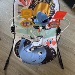 Baby Bouncer 