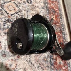 Fishing Reel