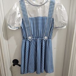 Halloween Costume- Wizard Of Oz Dorothy 
