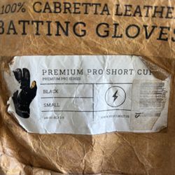 Bruce Bolt Batting Gloves