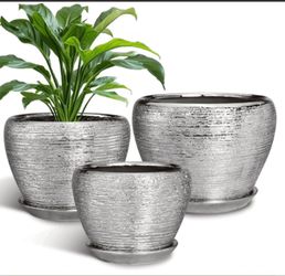 Ceramic Planters