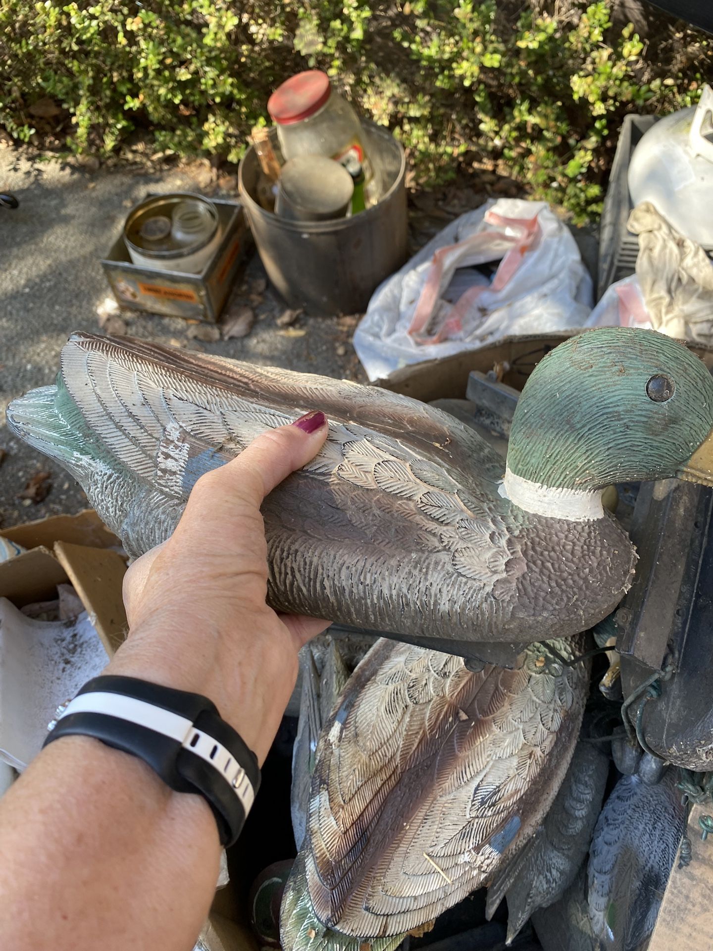 Duck Decoys Set Of 5