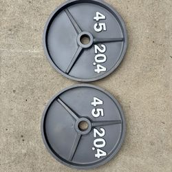 Olympic Weights - Two 45 Lbs