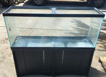 55 gallon fish tank with stand