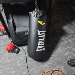 Punching Bag