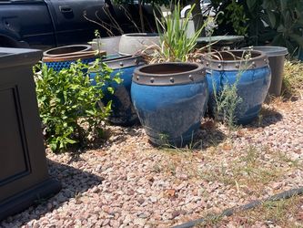 Pots - planters