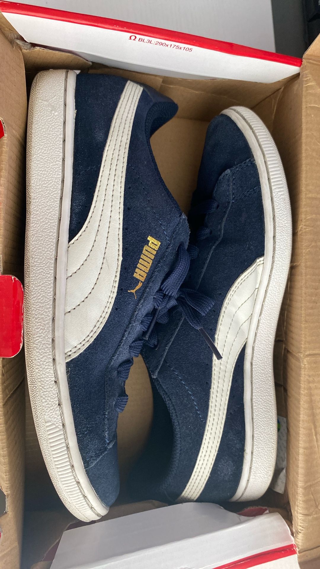 Puma shoe