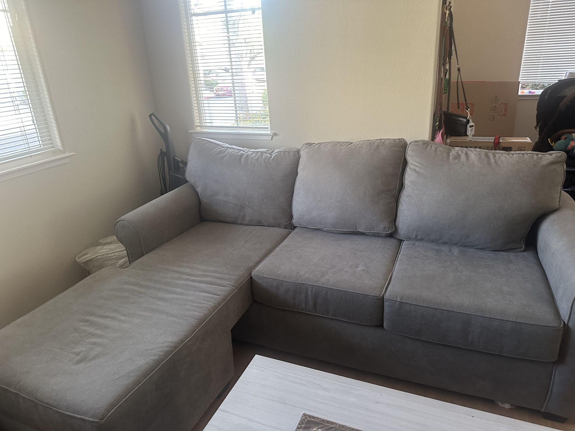 Gray Sectional pull out Sofa