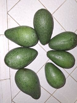 Fresh Avocados. Oil Avocados