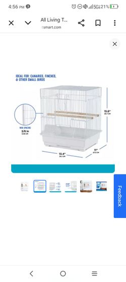Cage for a baby turquoise parrolet