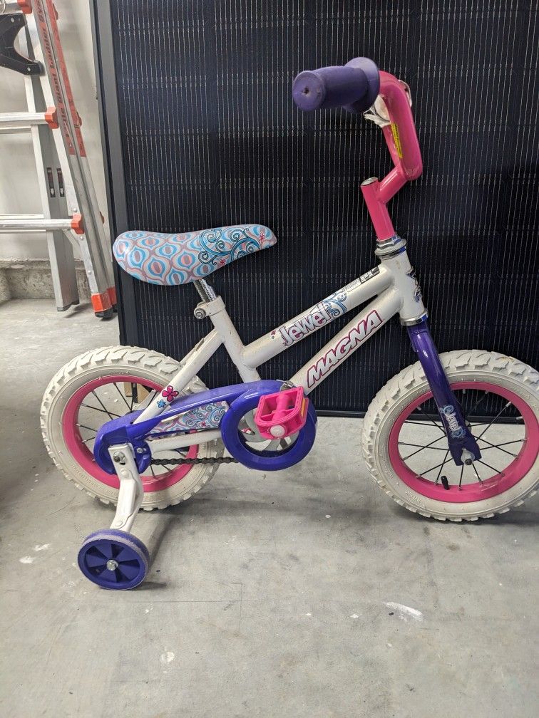 Girls Toddler Bike Bicycle 16 Tall Pink