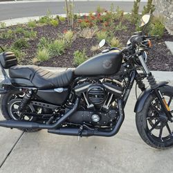 Harley Davidson Iron 883