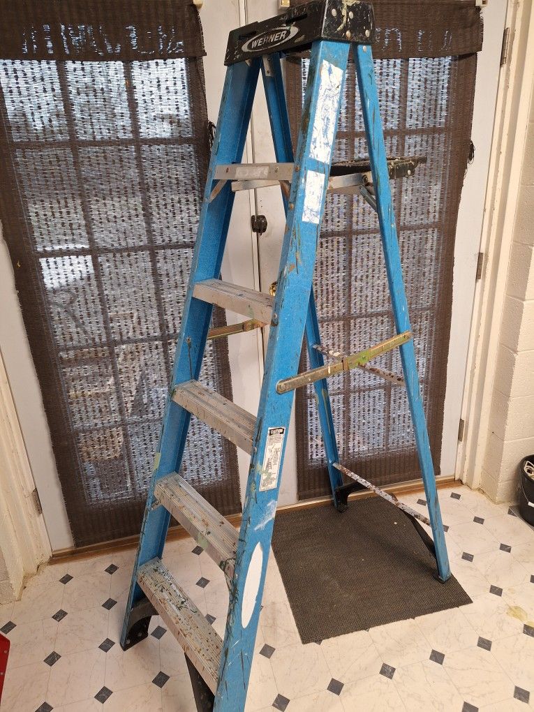 Werner 6 Foot Step Ladder