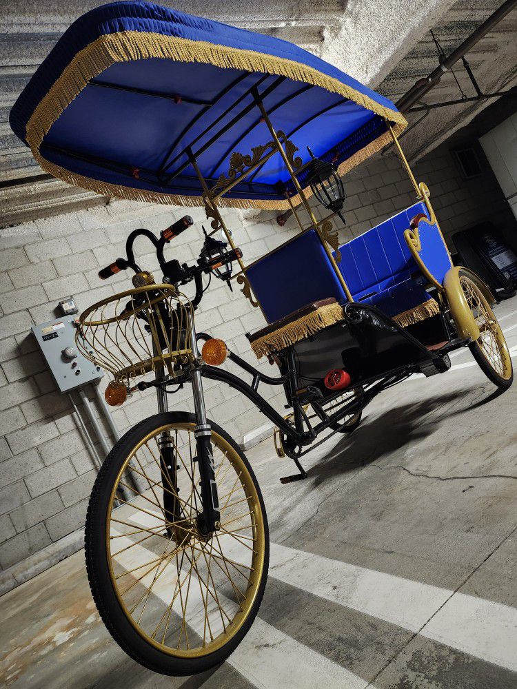 Electric Bicycle Rickshaw Pedicab Carriage 