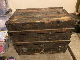 Old Trunk Few Levels 