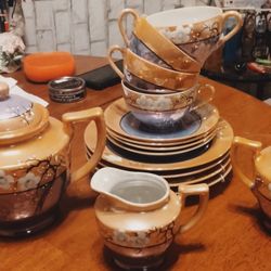 Japanese Bone China 17 PC Tea Set