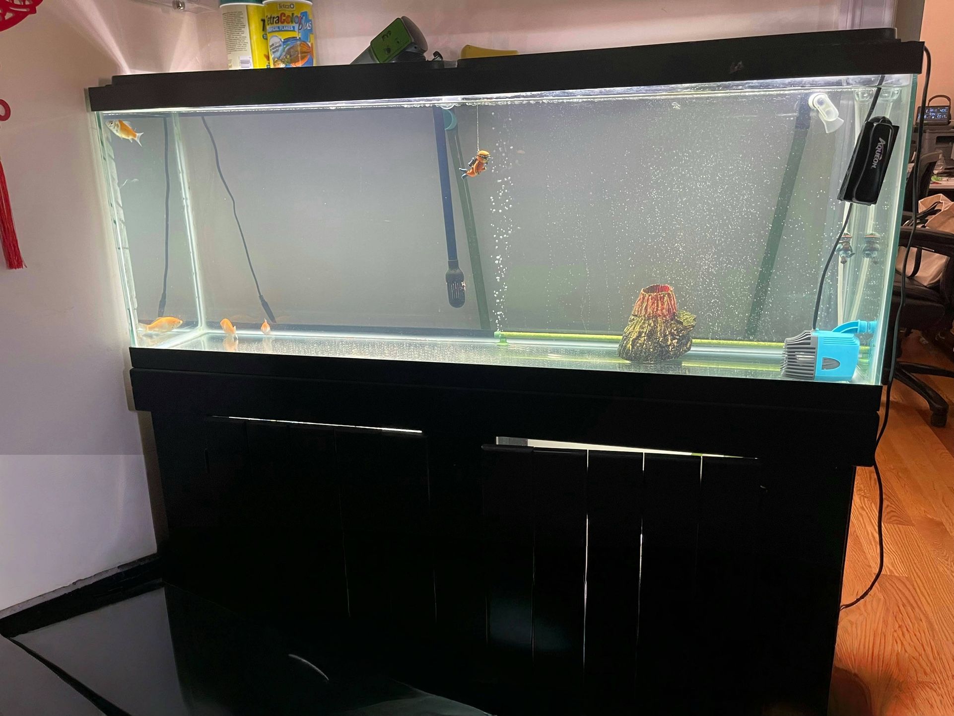 Fish Tank