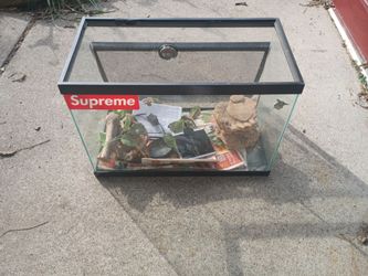 Reptile terrarium