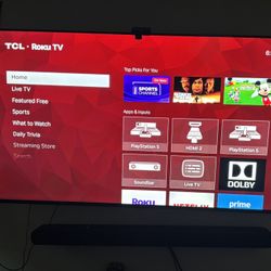 55 inch Roku TCL TV Setup With Alto 8i and Govee Lights
