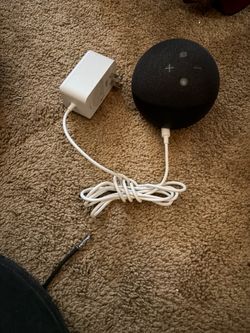 Amazon Alexia speaker