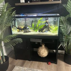 75 Gallon Fish Tank 
