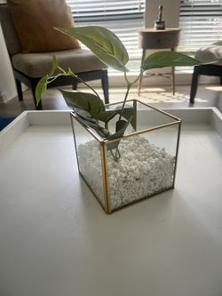 Miscellaneous Home Decor