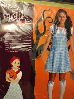 Dorothy wizard of oz custom Rubies Brand $40