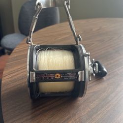 Daiwa  Fishing Reel